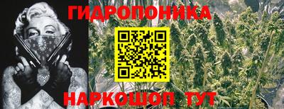 мдма Будённовск