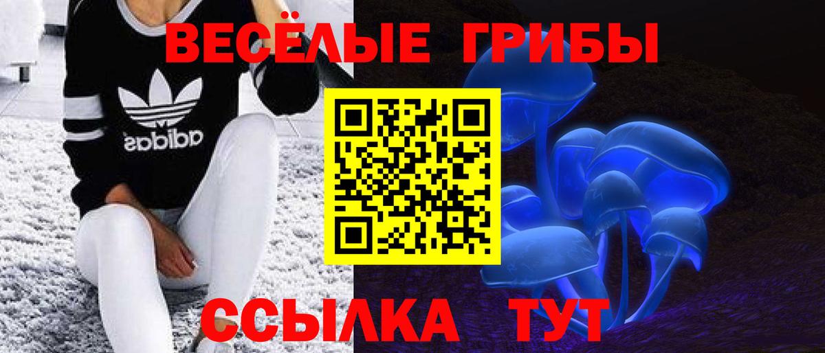 Псилоцибиновые грибы Cubensis Похвистнево