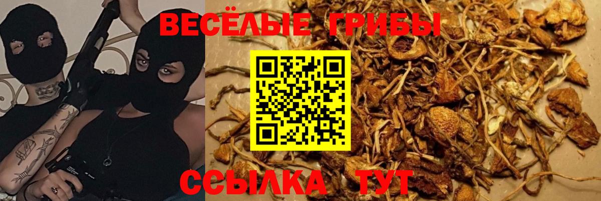 Похвистнево  Псилоцибиновые грибы GOLDEN TEACHER  Вход с VPN 